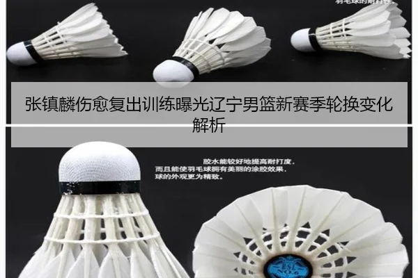 张镇麟伤愈复出训练曝光辽宁男篮新赛季轮换变化解析